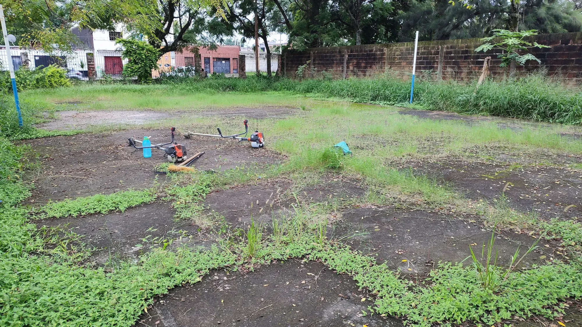 Terreno antes del corte