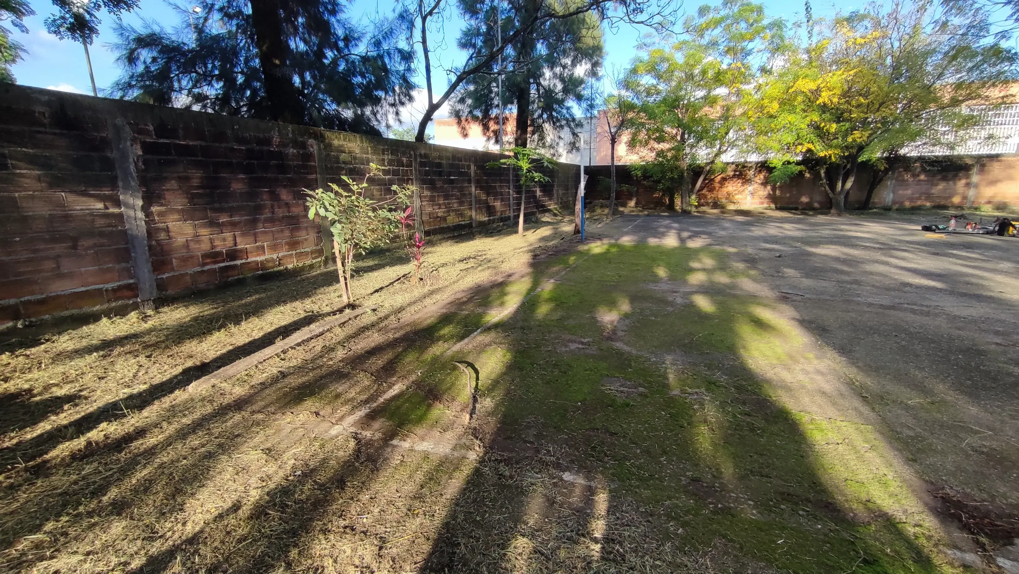 Terreno después del corte